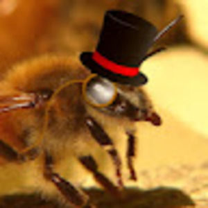 Meet your Posher, Ariana